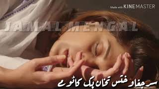 Alim Masroor Song Status(13)