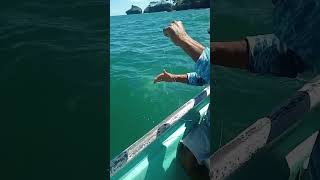 Pesca De Mero en Limón- Costa Rica