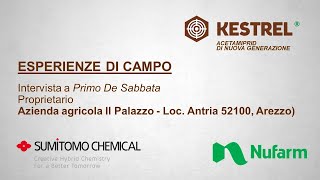 Kestrel: Esperienza di campo. Intervista a Primo De Sabbata