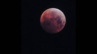 Full Lunar Eclipse of the Moon