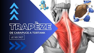 Le secret pour des gros trapèzes !