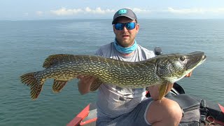 Pecanje štuke na varalicu - Bodensko jezero u Švajcarskoj II deo| Stuka-Angeln mit Köder im Bodensee