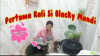 Pertama Kali Si Blacky Mandi