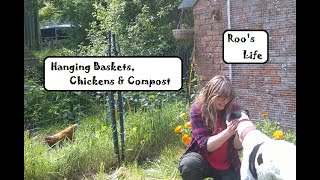 Hanging baskets, chickens and compost.