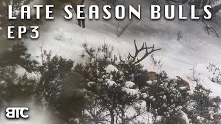 TARGET BULLS FOUND | LATE SEASON BULLS | EP 3 | BTC