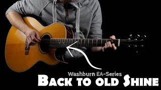 Bring it back to shine - Washburn EA-Series Restauration