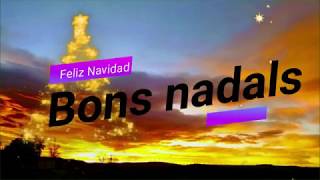 Bon NADAL i feliç any 2019