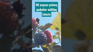 40 yaşına çatmış qadınlar mütləq izləsin