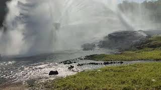 viagens e passeios rodoviários, 73988183418 - saindo de Santa Cruz Cabrália Bahia.