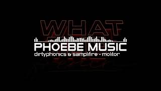 Dirtyphonics & Samplifire - Molitor | Dubstep/Trance | Phoebe Music