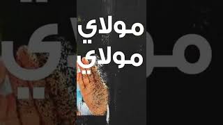 مولاي