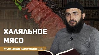 МЯСО В ДАГЕСТАНЕ. Законоположения связанные с мясом. Мухаммад Килятлинский