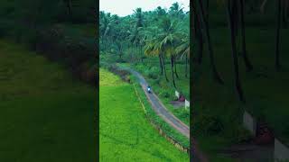 Village Nature|Green 💚 Land|Peace full Environment #villagelife #The_Vlog_Voyager