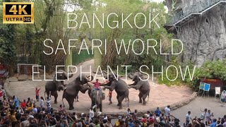 🐘🌟 Joyous Jumbos: Spectacular Elephant Show at Bangkok Zoo Safari World! 🎉🐘