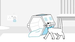 Train your cat to use a carrier | The Battersea Way