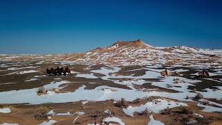 Mongolia Journey on Bactrian Camels, traversing a snow covered Gobi Desert.