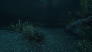 SOMA: Part 1