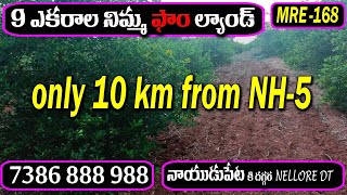 9 ACRES LEMON FARM LAND FOR SALE | NEAR NAIDUPET | 120 KM FROM CHENNAI |7386888988|#MadhavTv| ID-168