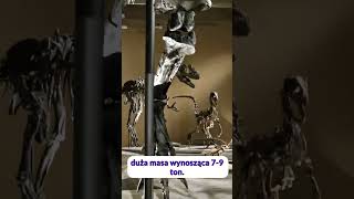 Jak szybko biegał tyranozaur?#paleontologia  #dinozaury