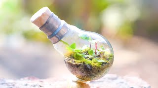 🎄TERRARIUM 🌱 How to Make a Terrarium in Light Bulb 💡🌴