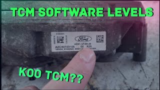 Why Does Your New TCM Say "K00"? Not K05? | Ford Focus & Fiesta Transmission