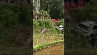 Mobil Terjun Bebas Ke Sawah, Warga Histeris