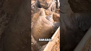 NGERI BANGET‼️HEWAN PURBA INI TERJEBAK DI EXCAVATOR #shortsvideo #faktaunik #fishing #mancing