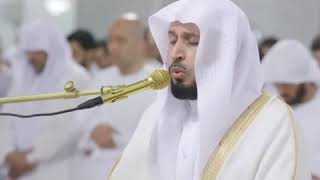 تلاوة رمضانية رائعة للقارئ سعد الغامدي | ليلة 3 رمضان