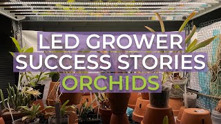 Active Grow T5 LED Grow Lights Vs. T5 Fluorescent Tubes for Orchids