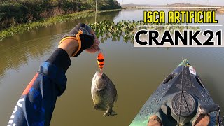 ISCA FATAL DAS PIRANHAS | RIO SÃO LOURENÇO ( LAGO DE JUSCIMEIRA)