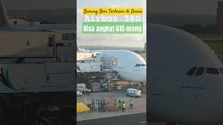 Pesawat ini bisa mengangkut 615 orang 😱😱 #shorts #airport #bali #airbus #a380 #short #love #like