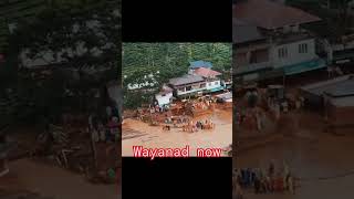 wayanad now #trending #latest #trendingwayanad