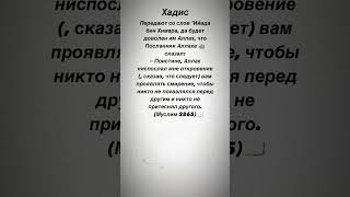 Поистине, Аллах ниспослал мне откровение (, сказав, что следует) вам проявлять смирение #хадис