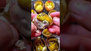 Balut eggs are super delicious p498#funy #animals #fyp