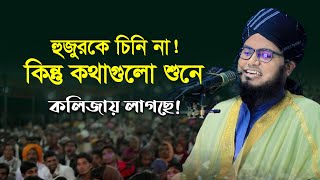 হুজুরকে চিনিনা কিন্তু কথা গুলো কলিজায় লাগছে ! মুফতি হুসাইন বিন আইয়ূব, 01958436637