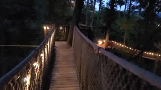 Anakeesta Treetop Skywalk, Gatlinburg Tennessee #gatlinburg #anakeesta