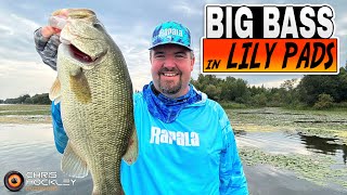 How To Fish Lily Pads for Big Bass - Tips and Tricks