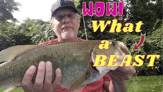 BIG BASS in the Back Yard Lake: Big bass on a kayak