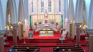 Sunday Mass (9.30). Presentation of the Lord (Feb 2nd) Rathfarnham, Dublin