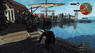 The Witcher 3 Missing LOD bug