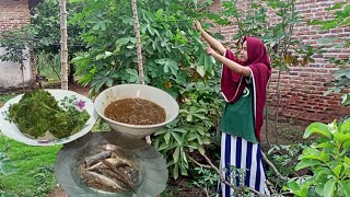 Aktivitas Sore Hari Di Desa,Memasak Untuk Makan Malam,Sambal terasi,IkanAsinDan KulupanDaunsingkong