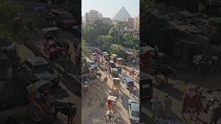 Busy road. #camel #horses  #Cairo #Egypt #Travel #Giza #Egyptian #Egyptian_life #Traffic #pyramid