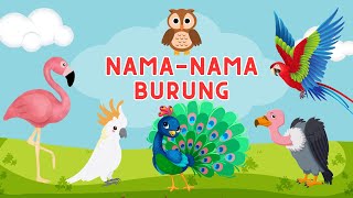 Belajar Nama-nama Burung untuk Anak-anak | Mengenal Hewan Unggas | Si Kecil Pintar