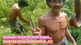 ternyata pasang tajur di spot rawa ini banyak ikan limbat nya,‼️