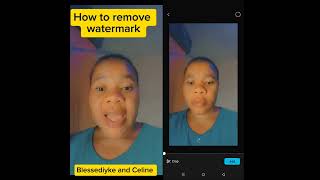 How to remove watermark from your videos after proper editing before exporting it