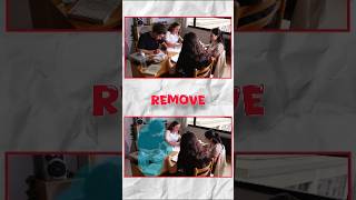 Remove Any Person in Any Video/ ভিডিও থেকে যে কাউকে রিমুভ করে ফেলুন #shorts #removevideoperson