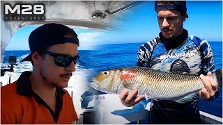 Spearfishing on the Great Barrier Reef