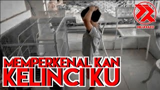 Memperkenalkan kelinci ku bareng Kaka