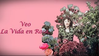 Édith Piaf - La Vie en Rose - Subtitulado al Español