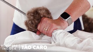 Por Que o Eiderdown Islandês É Tão Caro | Tão Caro | Insider Português